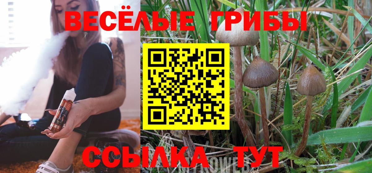 Когалым  Псилоцибиновые грибы Cubensis  Вход с VPN  Псилоцибиновые грибы Magic Shrooms 